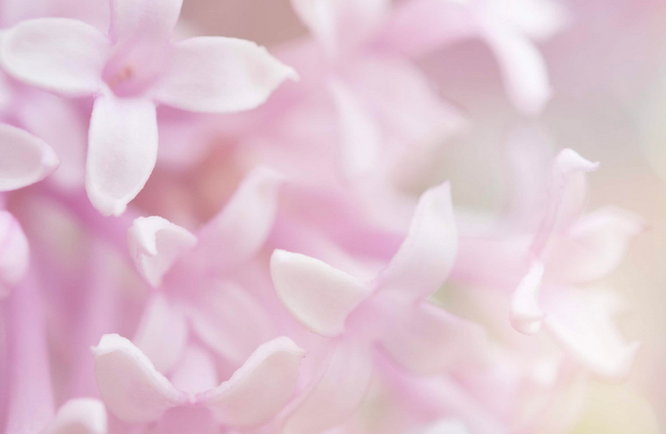 Les essences de Saint Germain